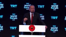 Cumhurbaşkanı Erdoğan: 'Türkiye'nin, hiç bir ülkenin topraklarında gözü yoktur' - İSTANBUL