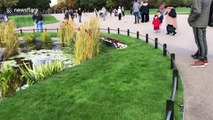 US tourist captures moment man removes sceptre from statue of Queen Victoria at Kensington Palace