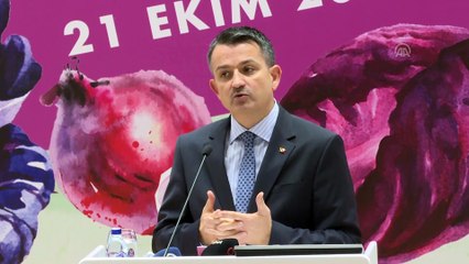 Pakdemirli: 'Tohumluk ithal eden değil, büyük oranda tohumluk ihraç eden ülke haline geldik' - ANKARA