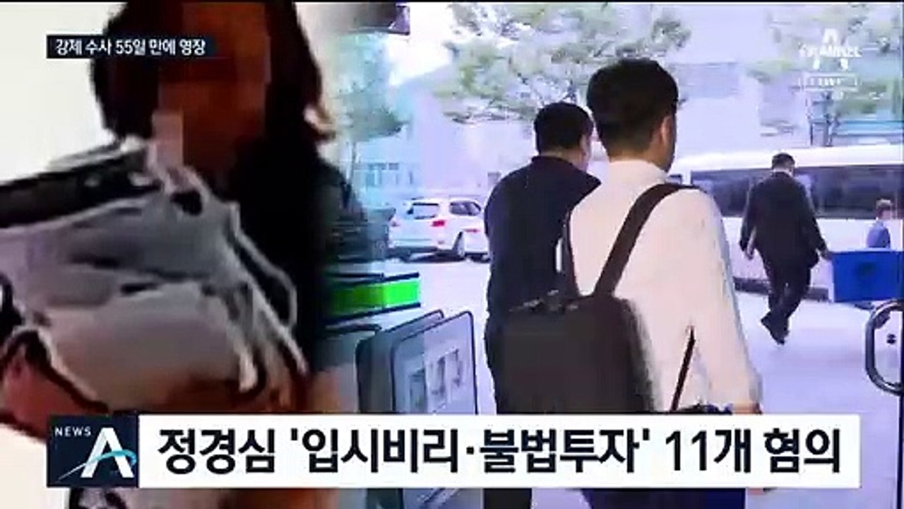 정경심 구속영장 청구…자녀 입시·사모펀드 등 11개 혐의