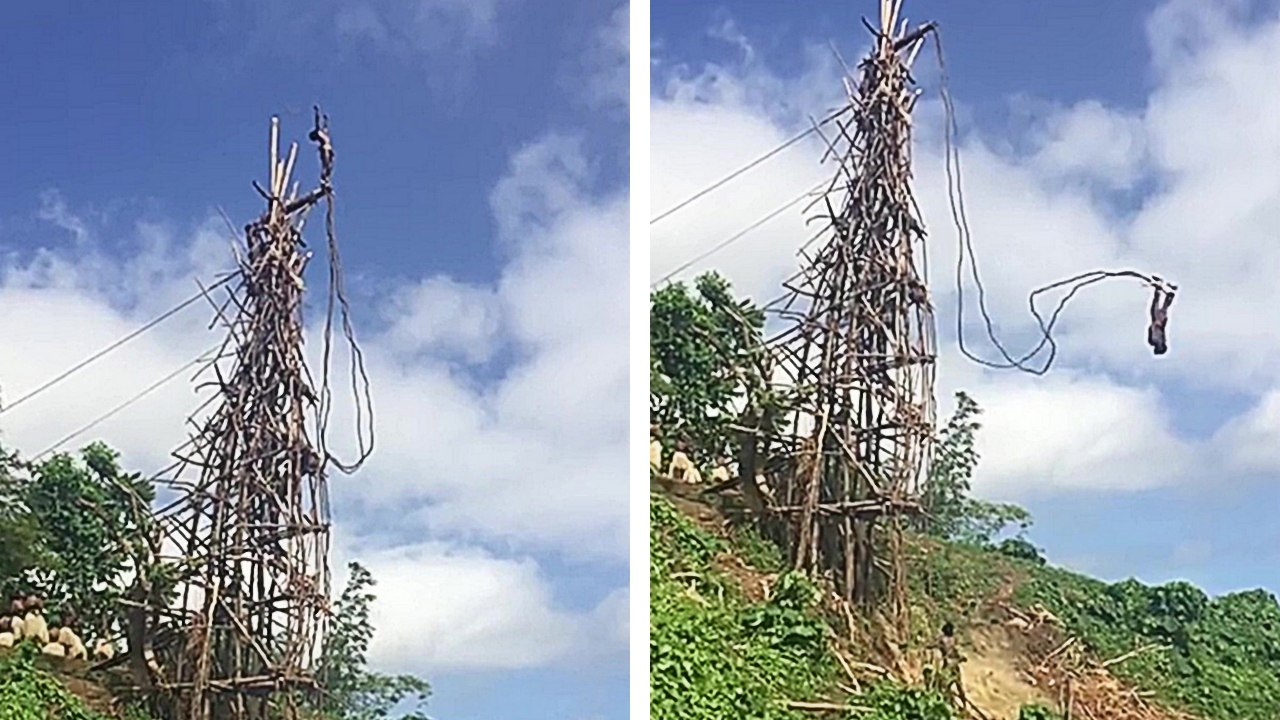 Un rituel qui consiste à sauter d'une plateforme de 30 mètres de haut avec une simple liane