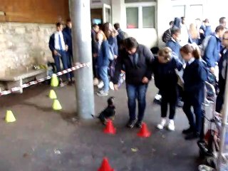 Carrefour des Idées 18 Octobre 2019 Compiègne Partie 4