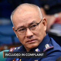 PNP-CIDG includes ex-boss Albayalde in drug complaint
