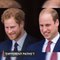 Prince Harry admits he and Prince William are 'on different paths'