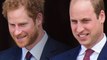 Prince Harry admits he and Prince William are 'on different paths'