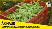 [ A CHAUD] - La Semaine de l’alimentation durable en Meurthe-et-Moselle