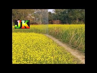 Mon amar mukto balaka cholechhe songibihin, Singer- Andrew Kishore,