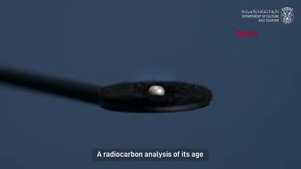 Tarihin en eski incisi abu dabi'de sergilenmeye başlandı