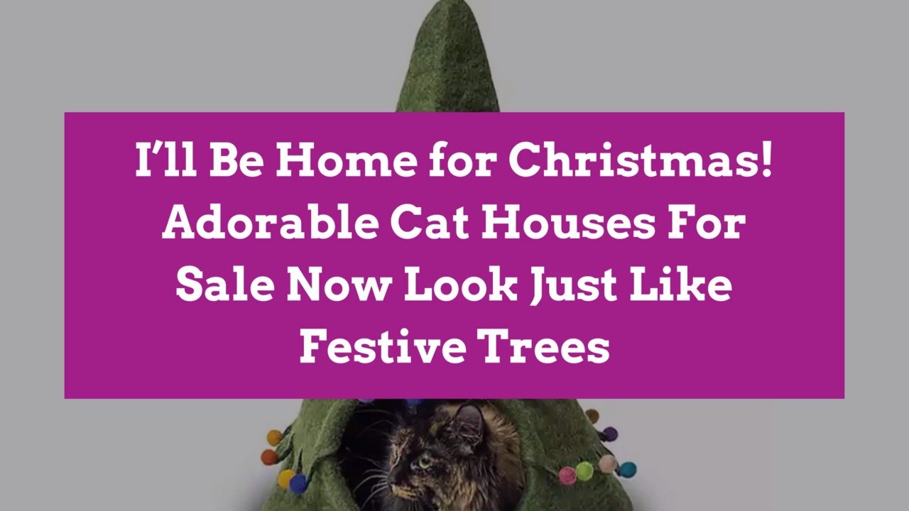 I’ll Be Home for Christmas! Adorable Cat Houses For Sale Now Look Just Like Festive Trees