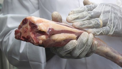 Why oxtail is a Jamaican delicacy