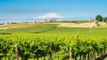 Washington Has Over 1,000 Wineries, and It's Just Getting Started