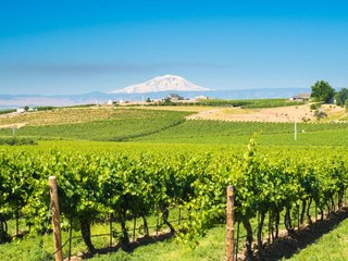 Washington Has Over 1,000 Wineries, and It's Just Getting Started