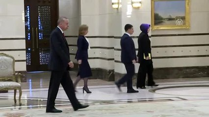 İrlanda'nın Ankara Büyükelçisi Mcguıness, Cumhurbaşkanı Erdoğan'a güven mektubu sundu