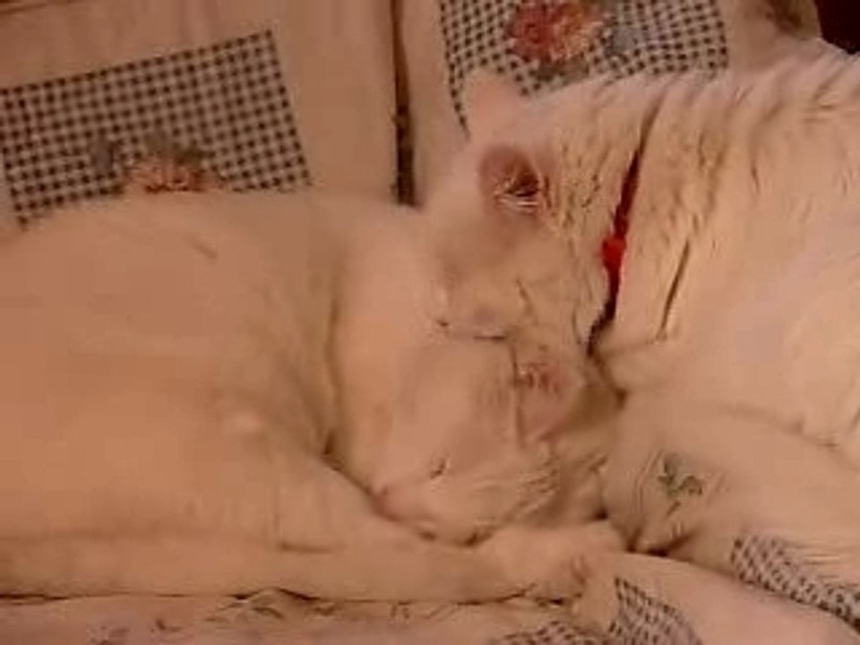 l'amour d'une mère pour son fils !!