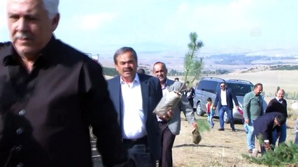 Sorgun Belediyesinden fidan dikim etkinliği - YOZGAT