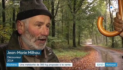 Enchères : une météorite de 300 kilos proposée à la vente