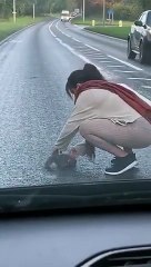 Elle s'arrête en pleine route pour sauver un écureuil !