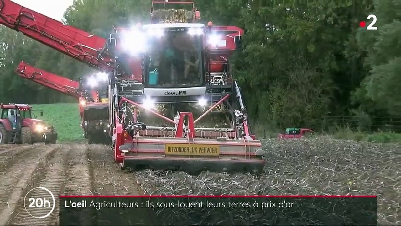 La sous-location de terres dans le Nord, business juteux des agriculteurs