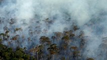 Amazzonia: dopo gli incendi, arrivano i cercatori d'oro