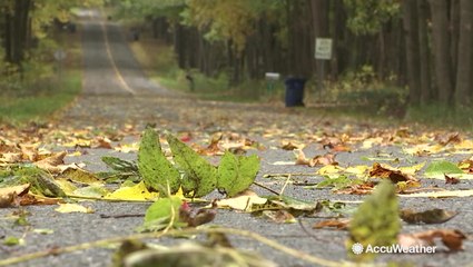 Rainy, fall conditions across Kalamazoo