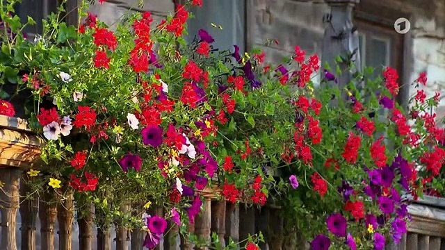 Sturm der Liebe 3252 folge