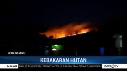 Hutan Lereng Gunung Lompobattang Terbakar