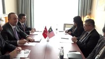 Dışişleri Bakanı Çavuşoğlu, Malezyalı mevkidaşı ile görüştü
