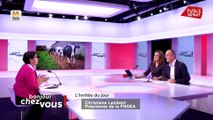 Best Of Bonjour Chez Vous !  Invitée politique : Christiane Lambert (24/10/19)