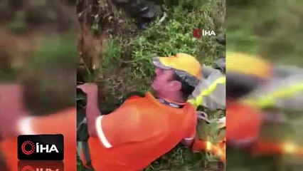 Defineciler ormanı köstebek yuvasına çevirdi