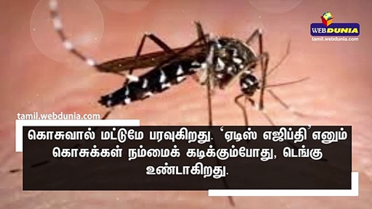 டெங்கு வருவதற்கான அறிகுறிகளும் ஆபத்துக்களும்!!