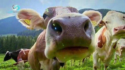 HARD TREK puntata 27 - Parte 2