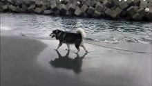 竜宮の磯