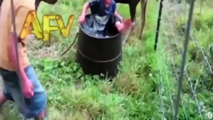 在万博的农场看到小孩骑样掉进水桶里面去了，哈哈哈