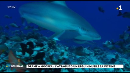 Une femme grièvement blessée par un requin à Moorea