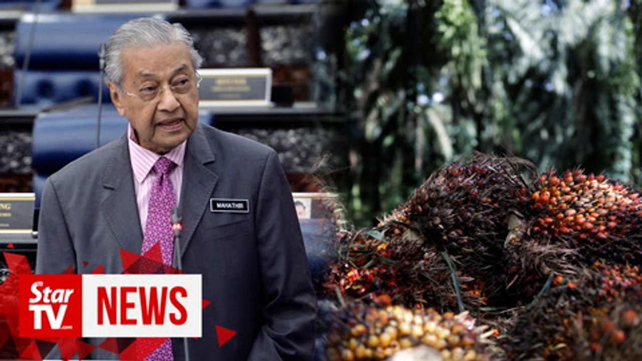 Dr M on Kashmir remarks: We speak our minds, we don't retract and change