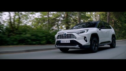 2019 Toyota RAV4 Driving in the country