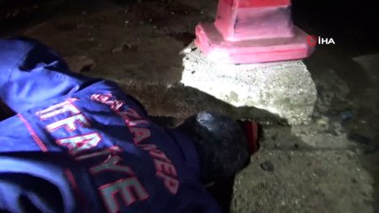 İtfaiye ekipleri yavru köpeği boğulmaktan kurtardı