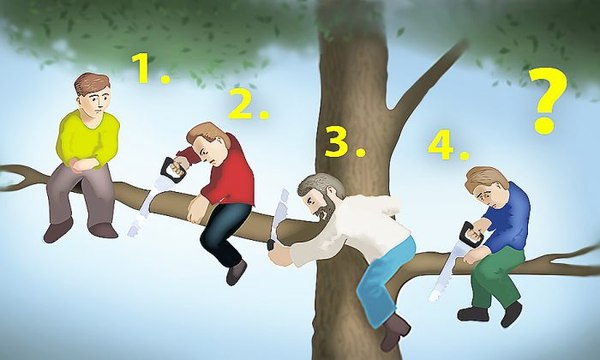 D'après vous qui est le moins stupide ici ? Votre choix en dit long sur votre personnalité