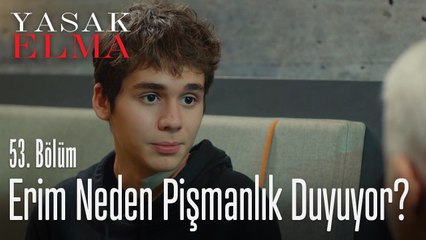 Halit, Emir'i kıskanmaya başladı! - Yasak Elma 53. Bölüm