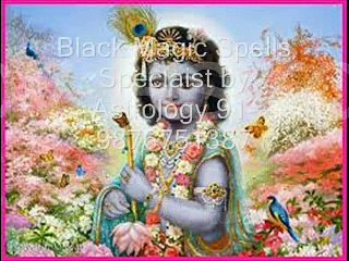 Black Magic Spells Speclaist by Astrology 91-9876751387 Hyderabad