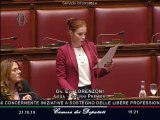 Eva Lorenzoni - Questo governo non tutela i liberi professionisti (21.10.19)