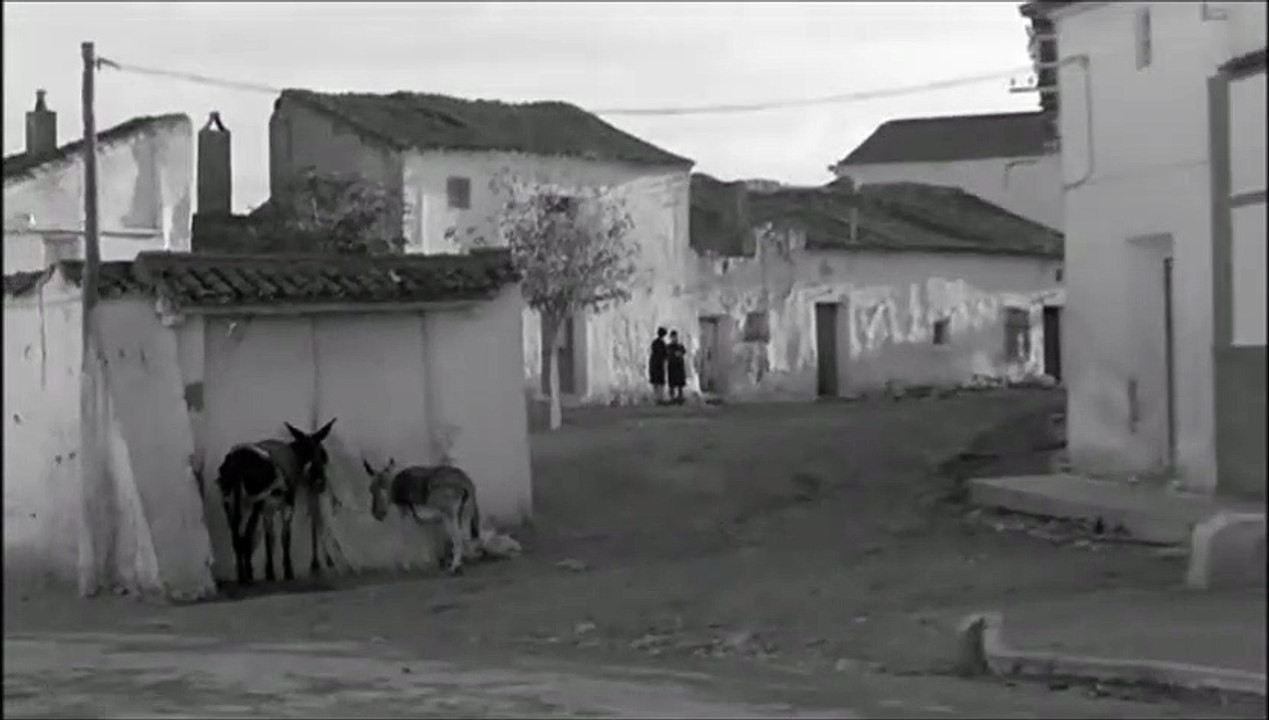 Calacierva 1966