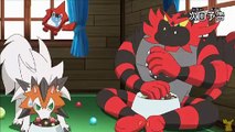 Pokémon Sun & Moon Episode 145  Preview HD