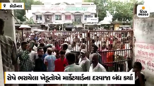 કોડીનારમાં મગફળીના ભાવ 700 રૂપિયા સુધી જતા ખેડૂતો વિફર્યા, માર્કેટીંગ યાર્ડના દરવાજા બંધ કર્યા