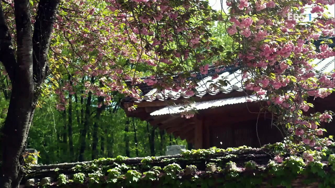 EBS 다큐프라임 - Docuprime_송광 1부- 시절인연_#003