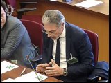 Roma - Audizioni su tutela comparto agroalimentare (22.10.19)