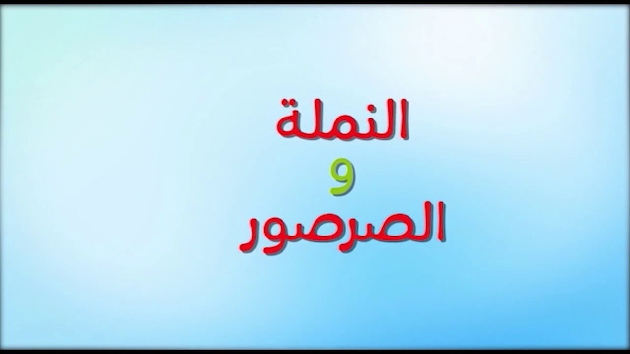 النملة والصرصور (توزيع جديد) - طيور بيبي Toyor Baby