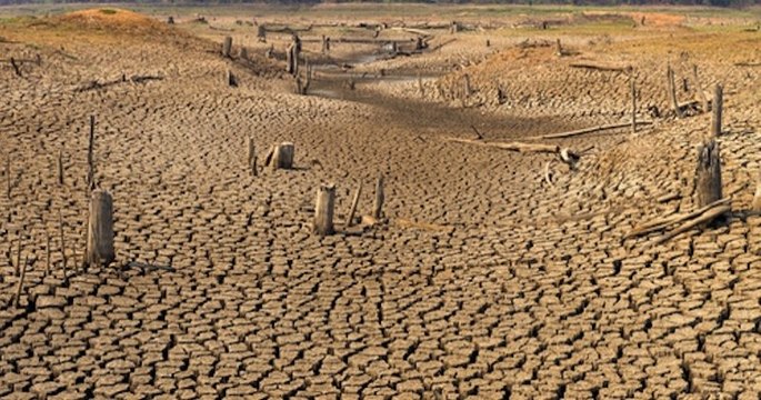 Réchauffement climatique : au Zimbabwe, les éléphants meurent à cause de la sécheresse qui sévit