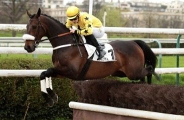 Storm of Saintly prend sa retraite