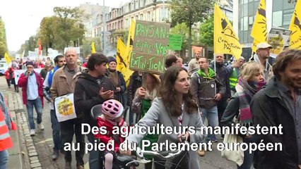 Les agriculteurs manifestent et réclament une "autre PAC"